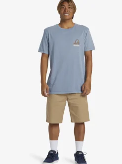 Mens Quiksilver Tees|Andy Y Andy T-Shirt