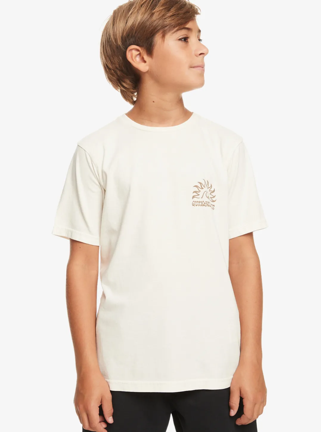 Boys Quiksilver Tees|Boy'S 8-16 Earthy Type T-Shirt