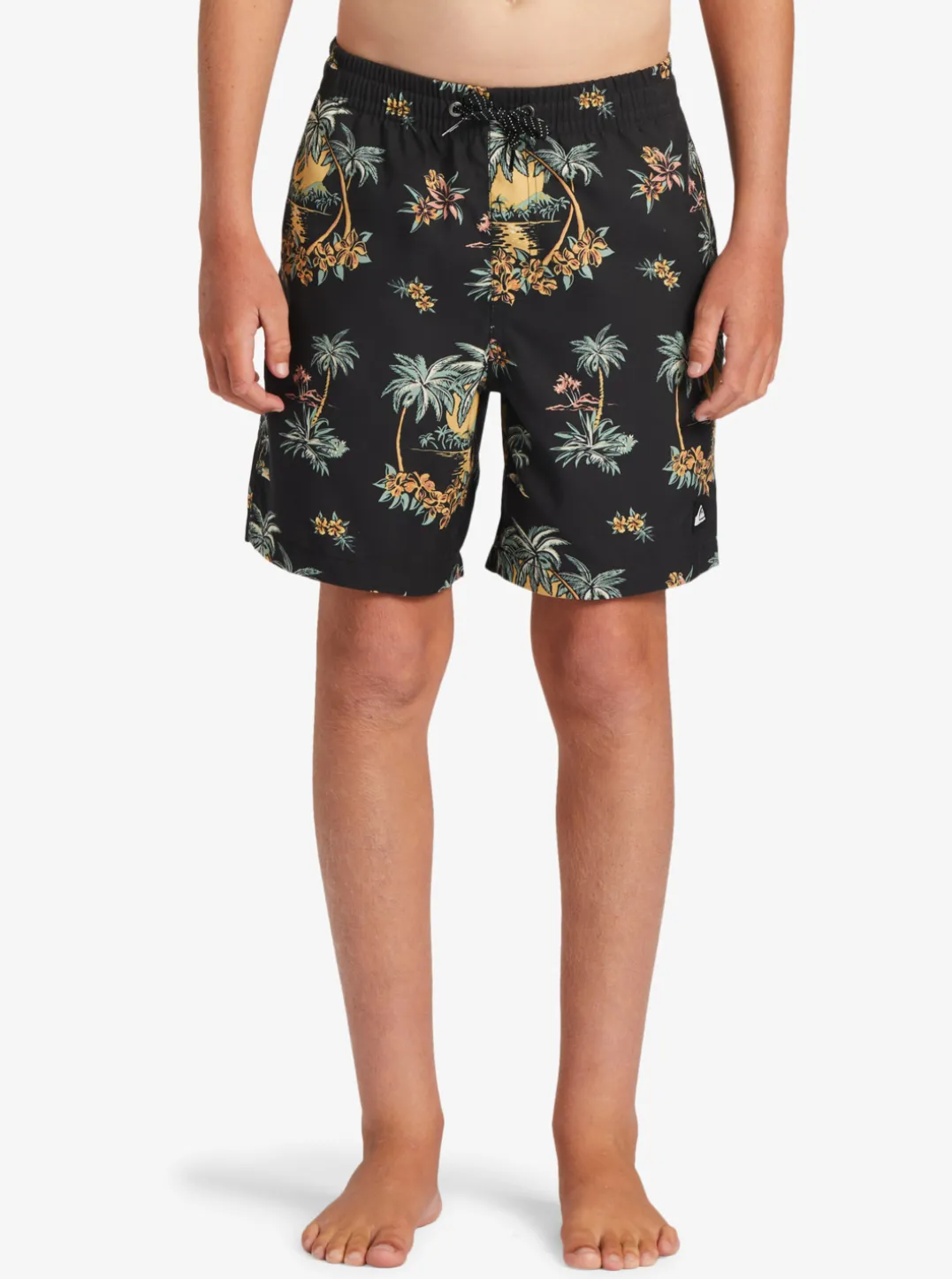 Mens Quiksilver Boardshorts|Boy'S 8-16 Everyday Mix Vl 15Nb Elastic Waist Shorts