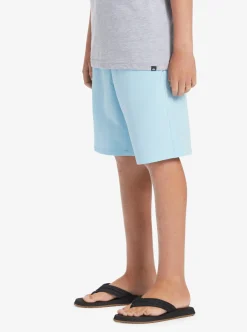 Boys Quiksilver Shorts|Boy'S 8-16 Ocean Elastic 18