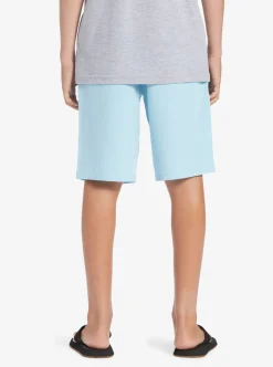 Boys Quiksilver Shorts|Boy'S 8-16 Ocean Elastic 18