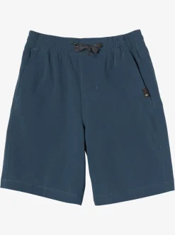 Boys Quiksilver Shorts|Boy'S 2-7 Ocean Elastic Waist 14" Amphibian Boardshorts