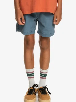 Boys Quiksilver Shorts|Boy'S 8-16 Taxer 15