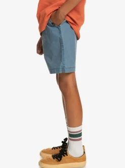 Boys Quiksilver Shorts|Boy'S 8-16 Taxer 15