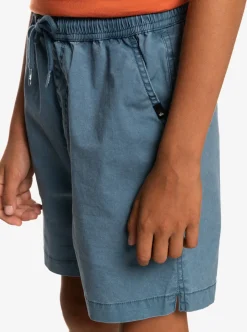 Boys Quiksilver Shorts|Boy'S 8-16 Taxer 15