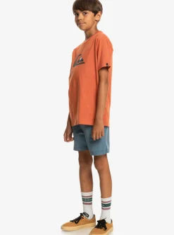 Boys Quiksilver Shorts|Boy'S 8-16 Taxer 15