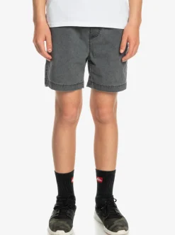 Boys Quiksilver Shorts|Boy'S 8-16 Taxer 15