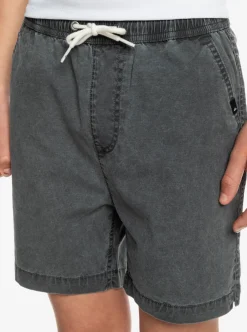 Boys Quiksilver Shorts|Boy'S 8-16 Taxer 15