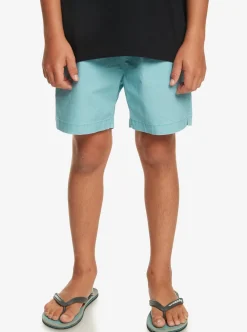 Boys Quiksilver Shorts|Boy'S 8-16 Taxer 15