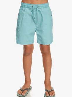 Boys Quiksilver Shorts|Boy'S 8-16 Taxer 15