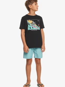 Boys Quiksilver Shorts|Boy'S 8-16 Taxer 15