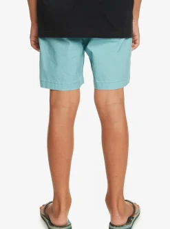 Boys Quiksilver Shorts|Boy'S 8-16 Taxer 15