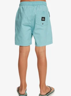Boys Quiksilver Shorts|Boy'S 8-16 Taxer 15
