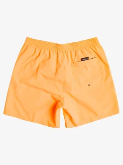 Mens Quiksilver Elastic Waist|Everyday 17" Volleys For Young Men
