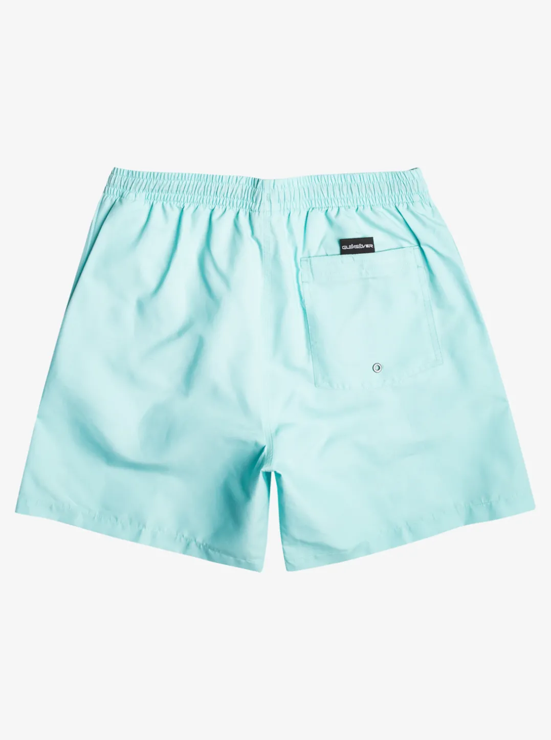Mens Quiksilver Elastic Waist|Everyday 17" Volleys For Young Men