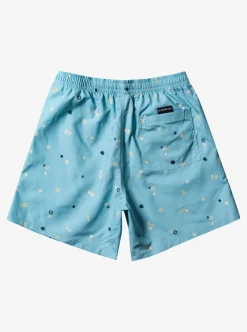 Mens Quiksilver Boardshorts|Everyday Mix 17" Volleys