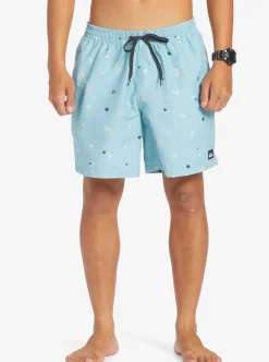 Mens Quiksilver Boardshorts|Everyday Mix 17