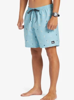 Mens Quiksilver Boardshorts|Everyday Mix 17