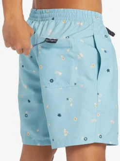 Mens Quiksilver Boardshorts|Everyday Mix 17