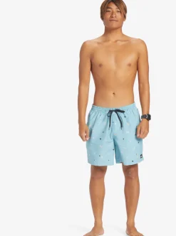 Mens Quiksilver Boardshorts|Everyday Mix 17