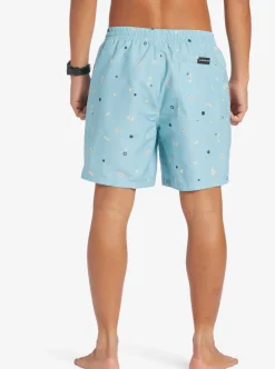Mens Quiksilver Boardshorts|Everyday Mix 17