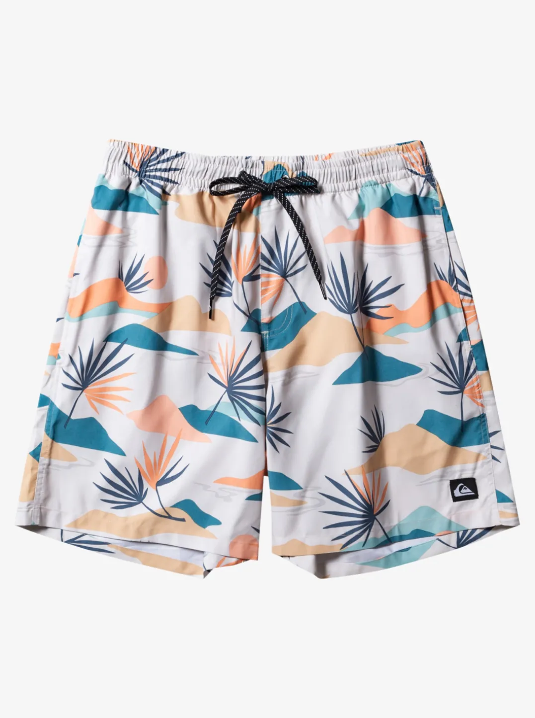 Mens Quiksilver Boardshorts|Everyday Mix 17" Volleys