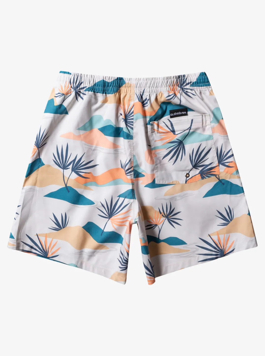 Mens Quiksilver Boardshorts|Everyday Mix 17" Volleys