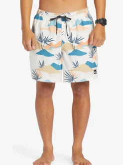 Mens Quiksilver Boardshorts|Everyday Mix 17