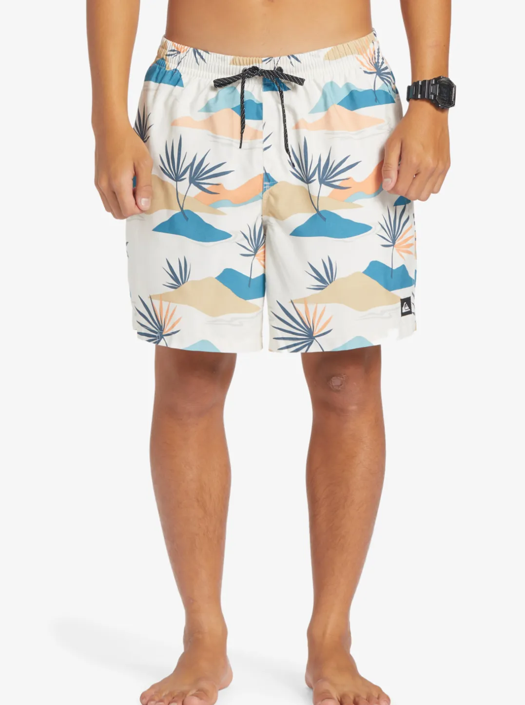 Mens Quiksilver Boardshorts|Everyday Mix 17" Volleys