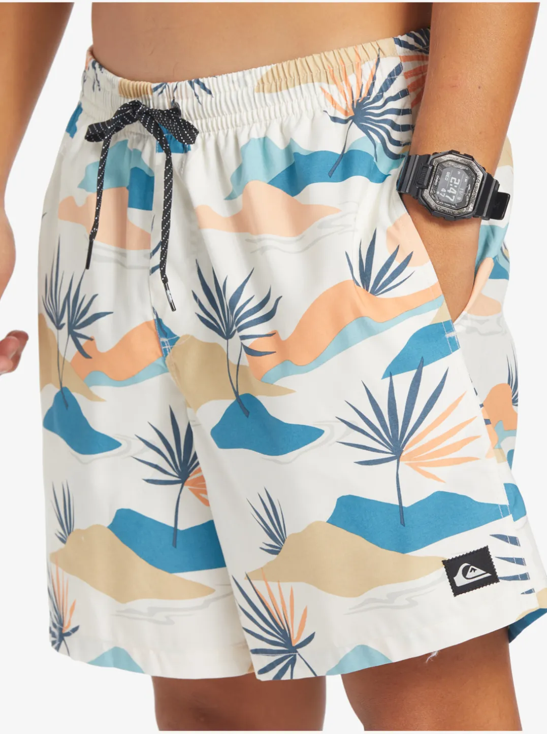 Mens Quiksilver Boardshorts|Everyday Mix 17" Volleys