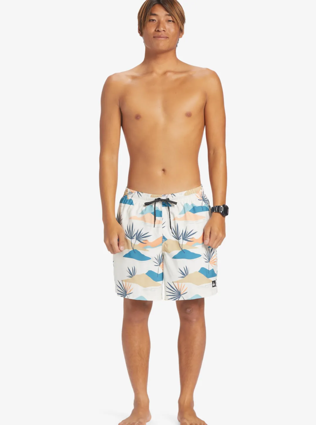 Mens Quiksilver Boardshorts|Everyday Mix 17" Volleys