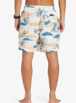 Mens Quiksilver Boardshorts|Everyday Mix 17