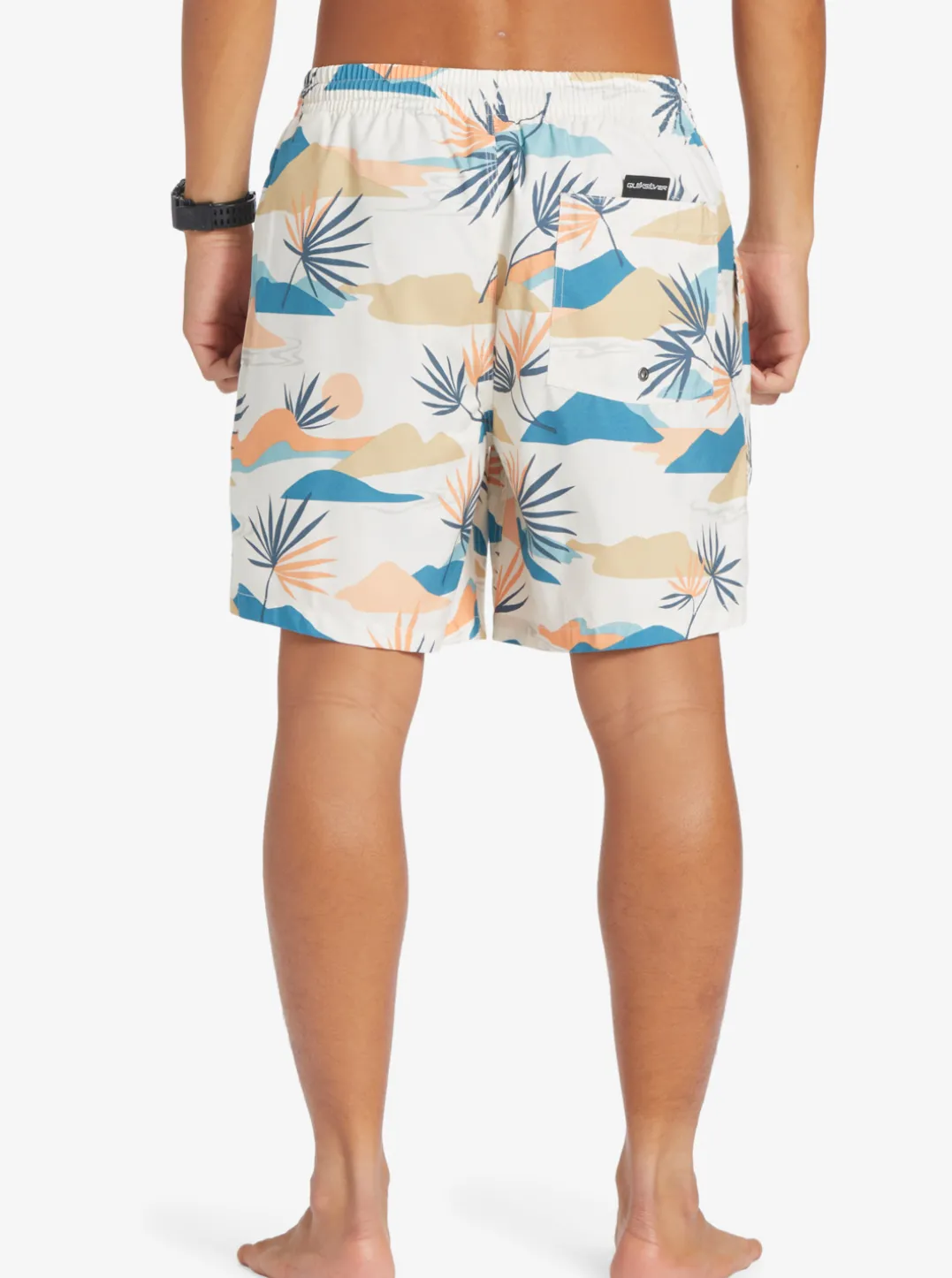 Mens Quiksilver Boardshorts|Everyday Mix 17" Volleys