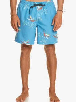 Mens Quiksilver Boardshorts|Everyday Mix 17
