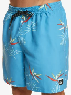 Mens Quiksilver Boardshorts|Everyday Mix 17