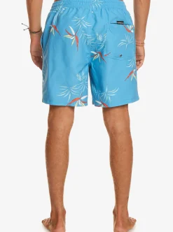 Mens Quiksilver Boardshorts|Everyday Mix 17