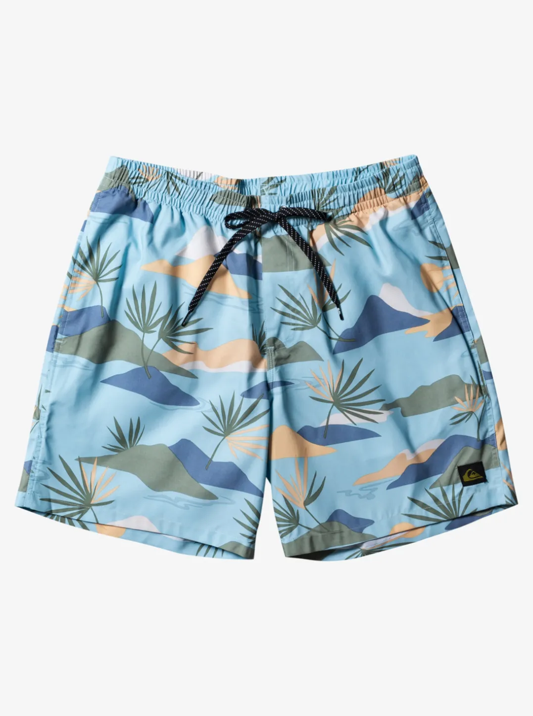 Mens Quiksilver Boardshorts|Everyday Mix 17" Volleys