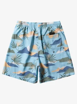 Mens Quiksilver Boardshorts|Everyday Mix 17" Volleys