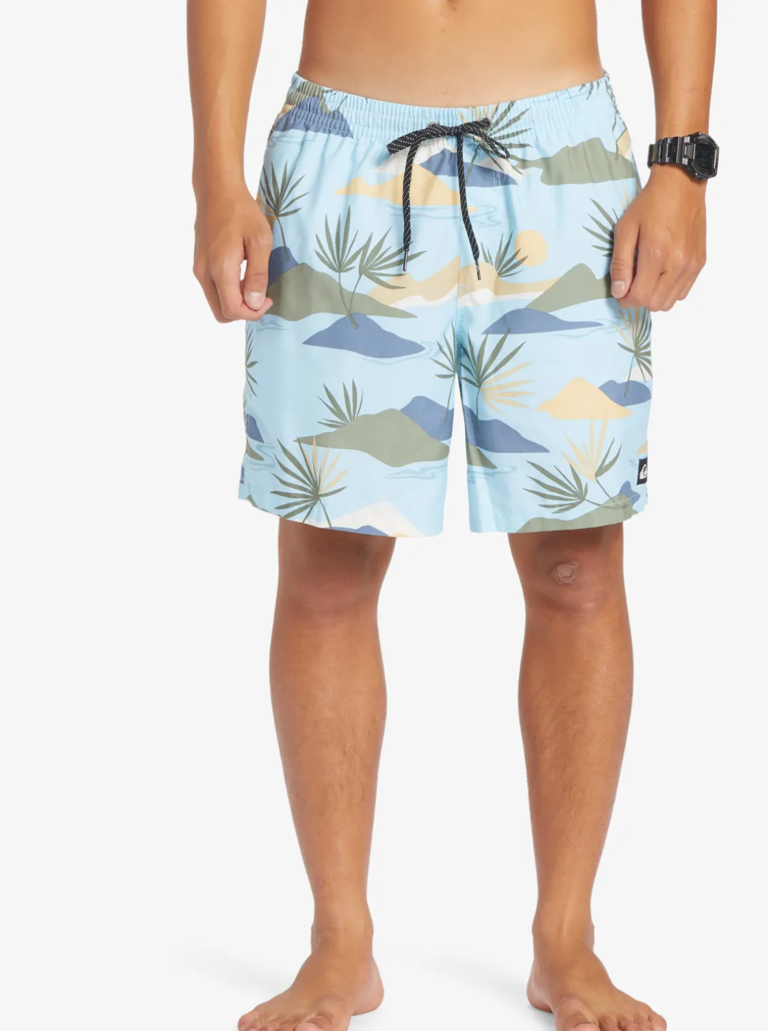 Mens Quiksilver Boardshorts|Everyday Mix 17" Volleys
