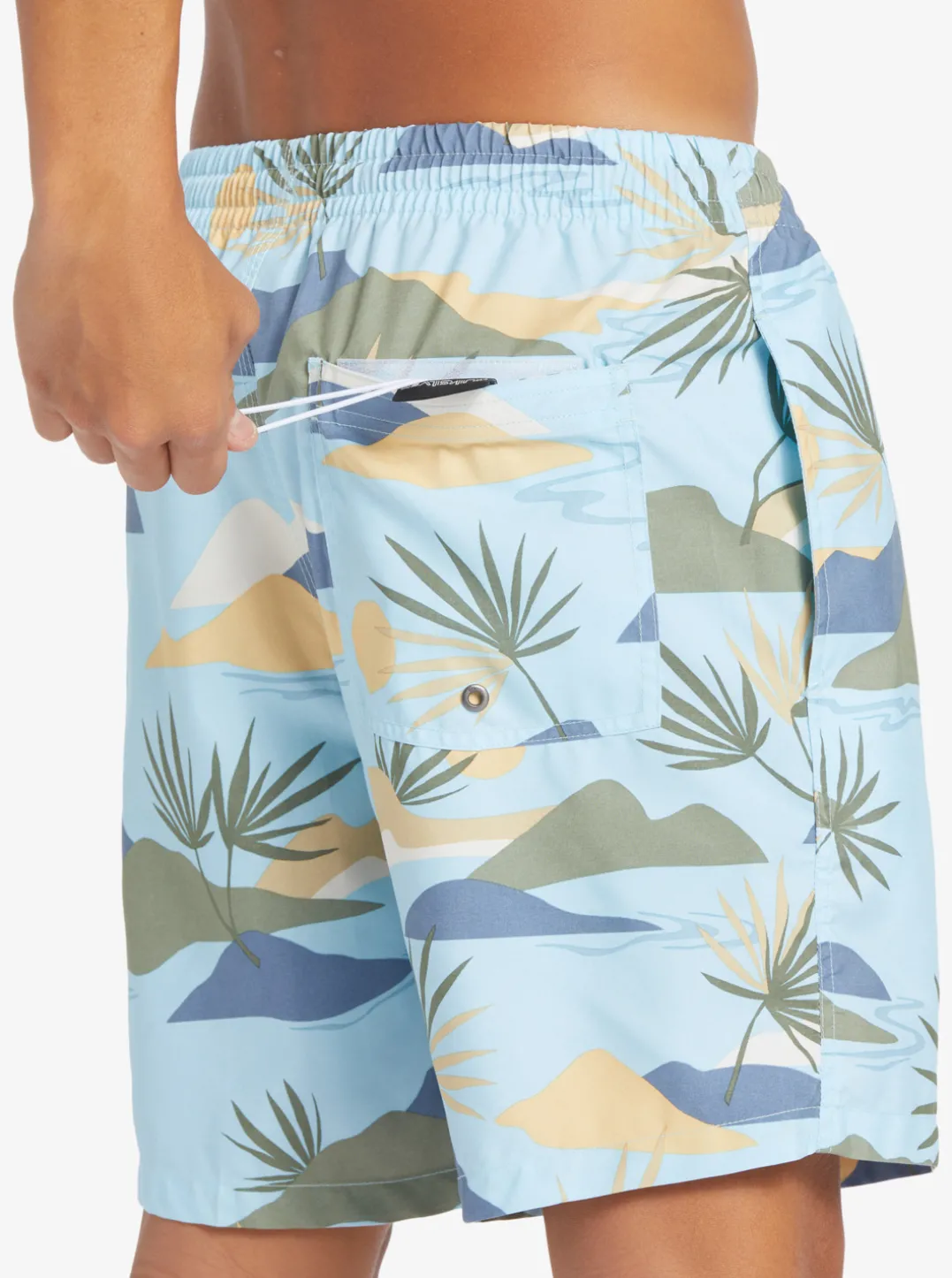 Mens Quiksilver Boardshorts|Everyday Mix 17" Volleys