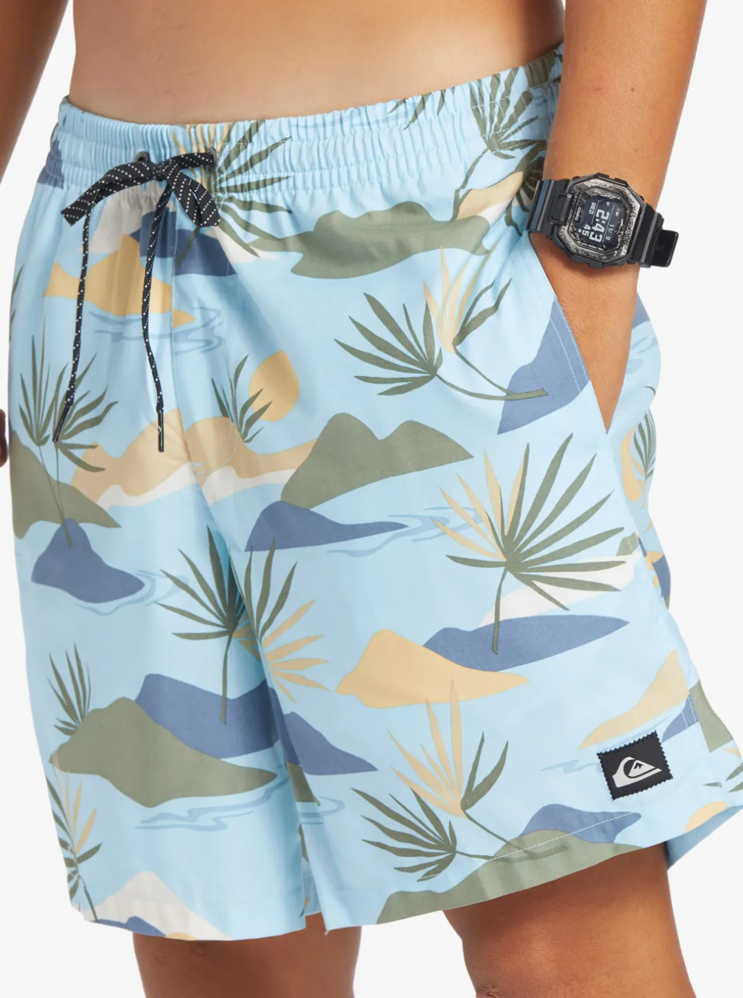 Mens Quiksilver Boardshorts|Everyday Mix 17" Volleys