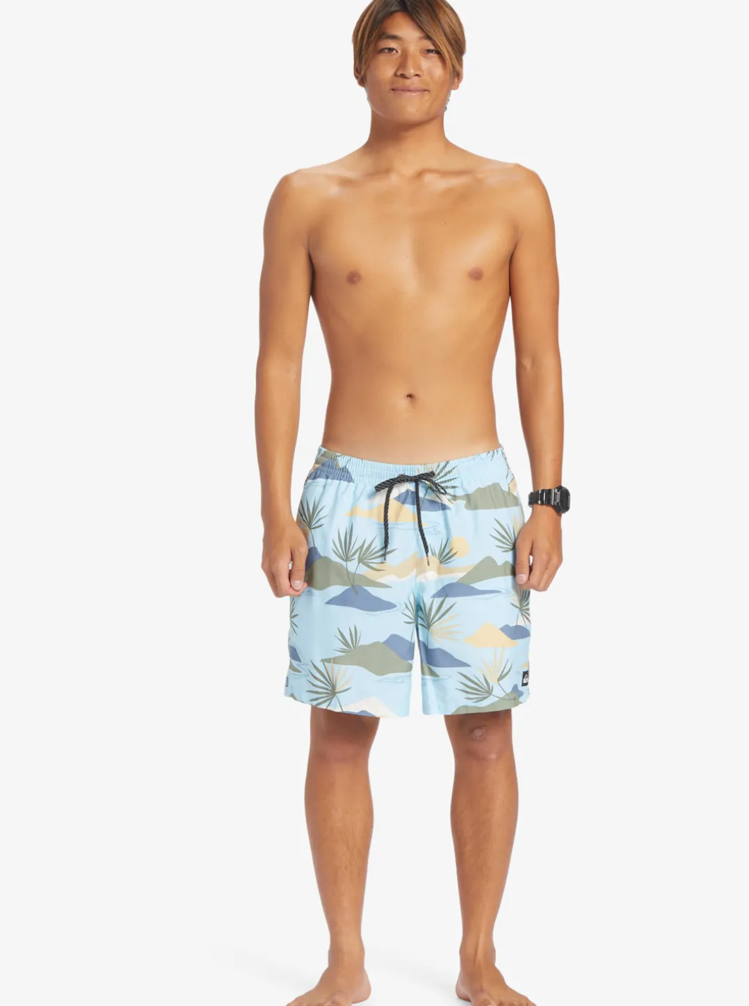 Mens Quiksilver Boardshorts|Everyday Mix 17" Volleys