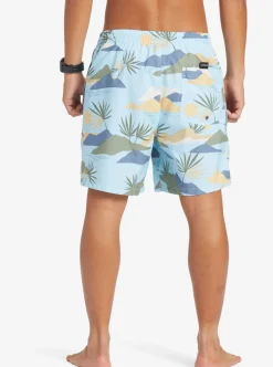 Mens Quiksilver Boardshorts|Everyday Mix 17