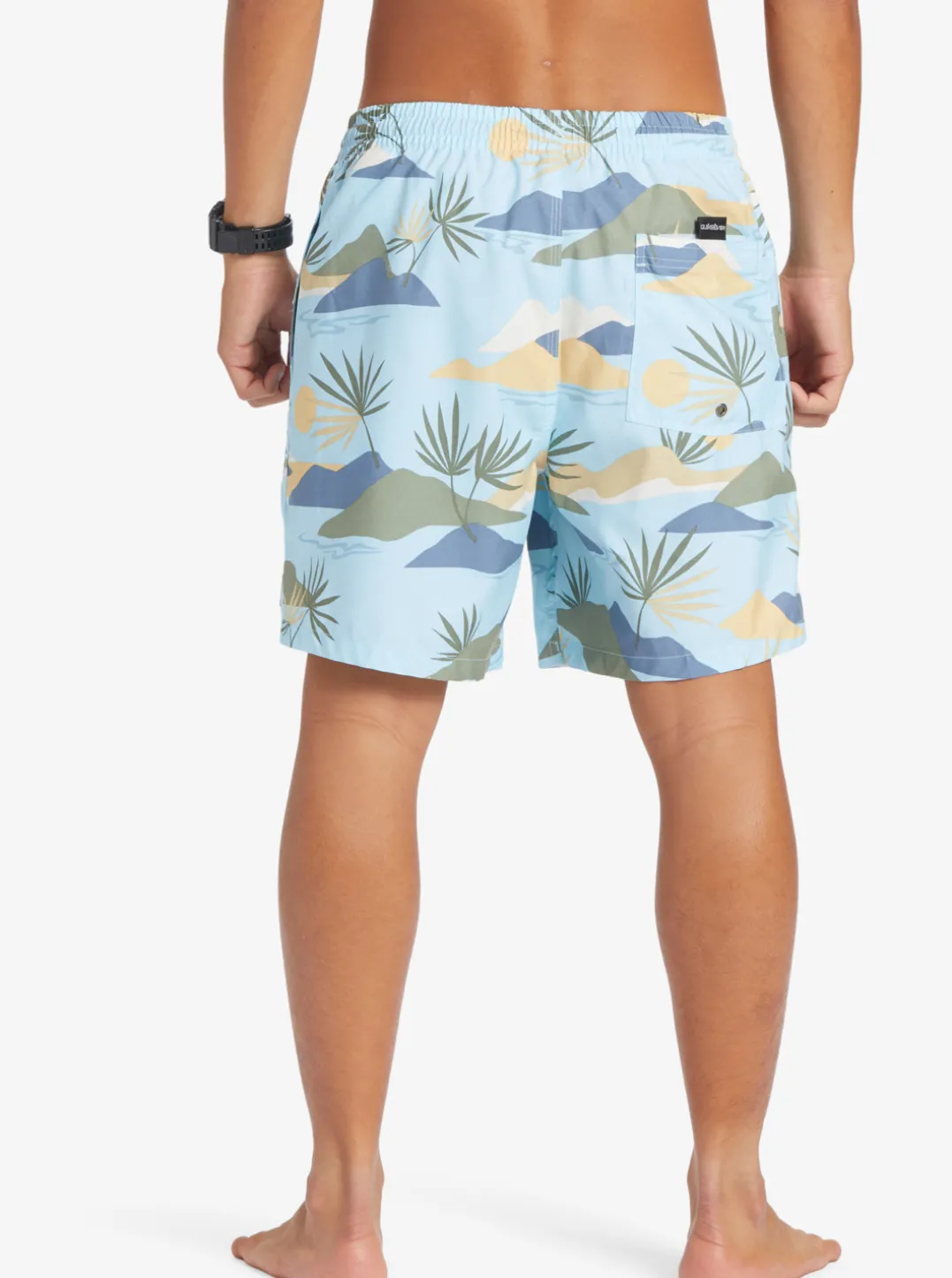 Mens Quiksilver Boardshorts|Everyday Mix 17" Volleys
