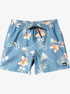 Mens Quiksilver Boardshorts|Everyday Mix 17" Volleys