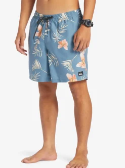 Mens Quiksilver Boardshorts|Everyday Mix 17