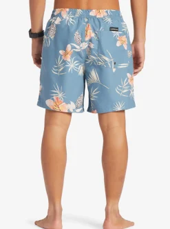 Mens Quiksilver Boardshorts|Everyday Mix 17