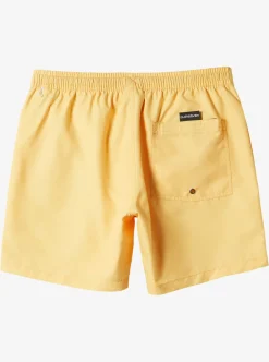Mens Quiksilver Elastic Waist|Everyday Vert 16" Volleys