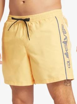 Mens Quiksilver Elastic Waist|Everyday Vert 16
