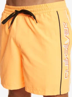 Mens Quiksilver Elastic Waist|Everyday Vert 16
